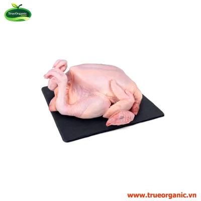 GÀ TA THẢ VƯỜN 1,4KG