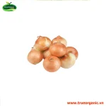 Hành tây bi Organic (Onion Baby Org)