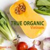 10 lợi ích của việc ăn thực phẩm hữu cơ mỗi ngày