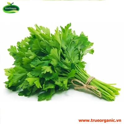 NGÒ RÍ HỮU CƠ 50g
