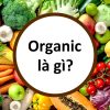 Thực phẩm hữu cơ (Organic) là gì? Chúng khác gì với thực phẩm thường?