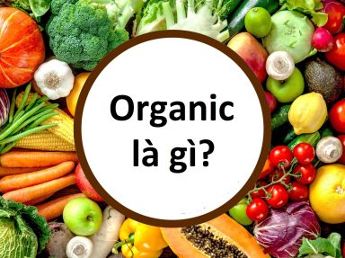 Thực phẩm hữu cơ (Organic) là gì? Chúng khác gì với thực phẩm thường?