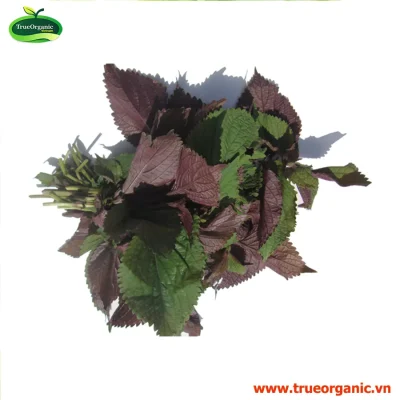 TÍA TÔ HỮU CƠ 50g