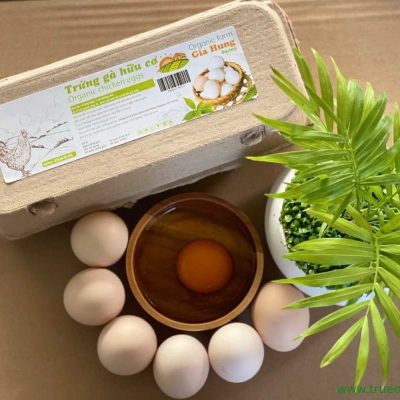 Trứng gà ta hữu cơ Gia Hưng hộp 10 trứng