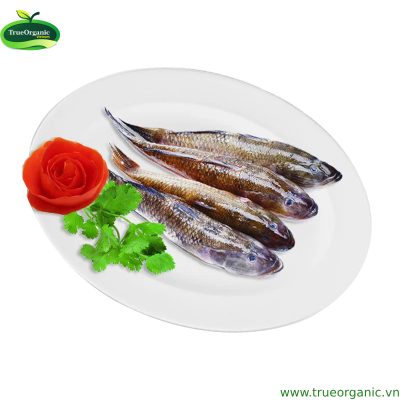 CÁ BỐNG CÁT RỪNG NGẬP MẶN NGR GÓI 450G